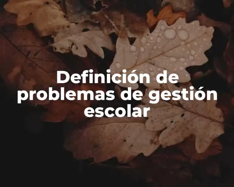 Definición de problemas de gestión escolar