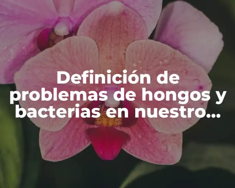 Definición de problemas de hongos y bacterias en nuestro cuerpo