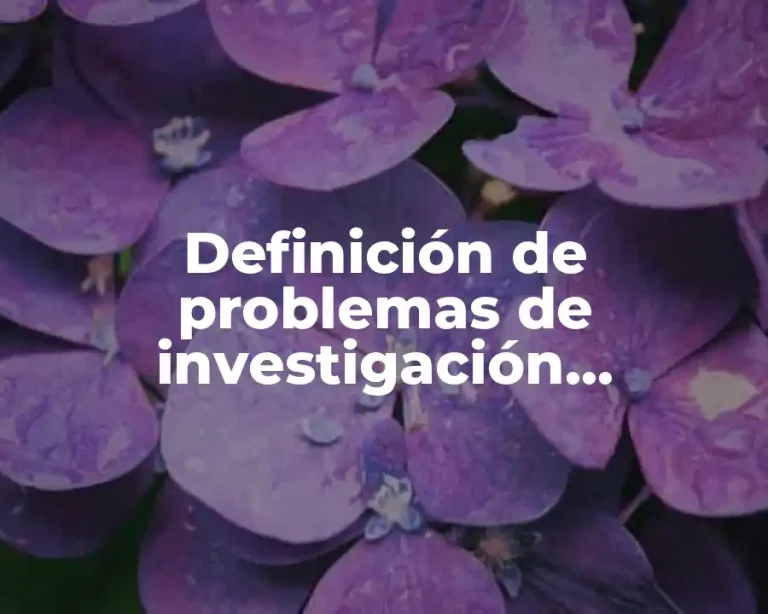 Definición de problemas de investigación cuantitativa