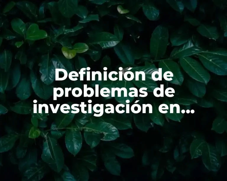 Definición de problemas de investigación en gestión y sus objetivos
