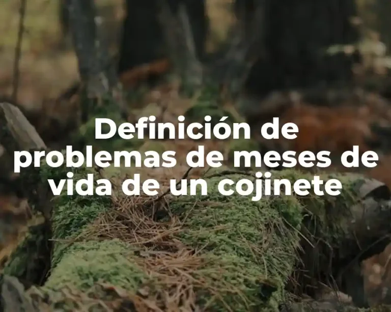 Definición de problemas de meses de vida de un cojinete