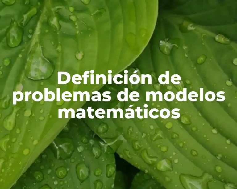 Definición de problemas de modelos matemáticos