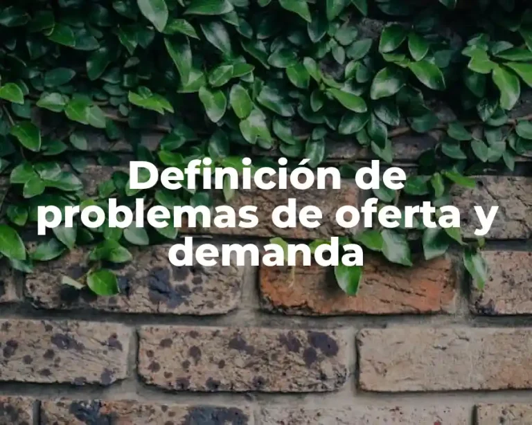 Definición de problemas de oferta y demanda