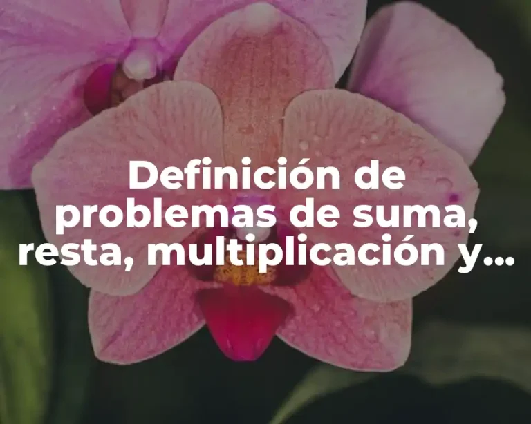 Definición de problemas de suma, resta, multiplicación y división