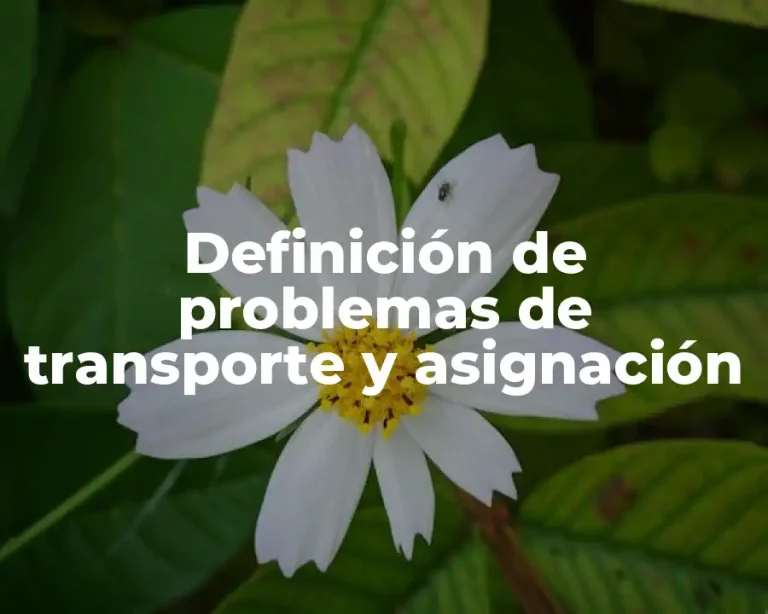 Definición de problemas de transporte y asignación