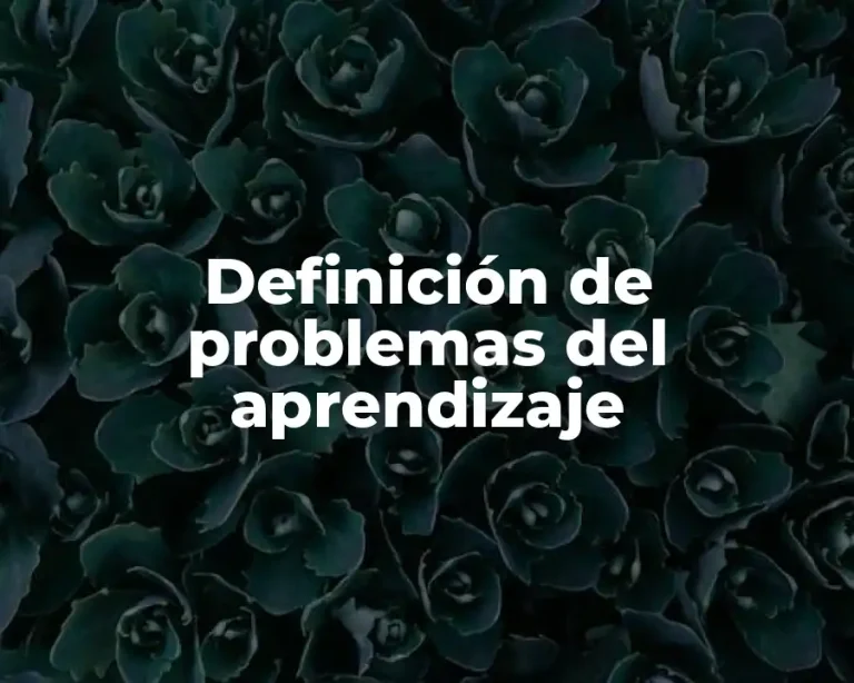 Definición de problemas del aprendizaje