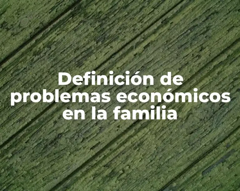 Definición de problemas económicos en la familia
