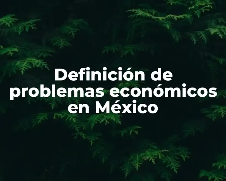 Definición de problemas económicos en México