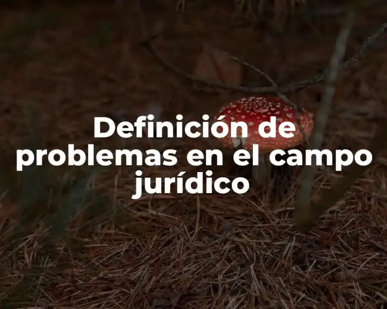 Definición de problemas en el campo jurídico