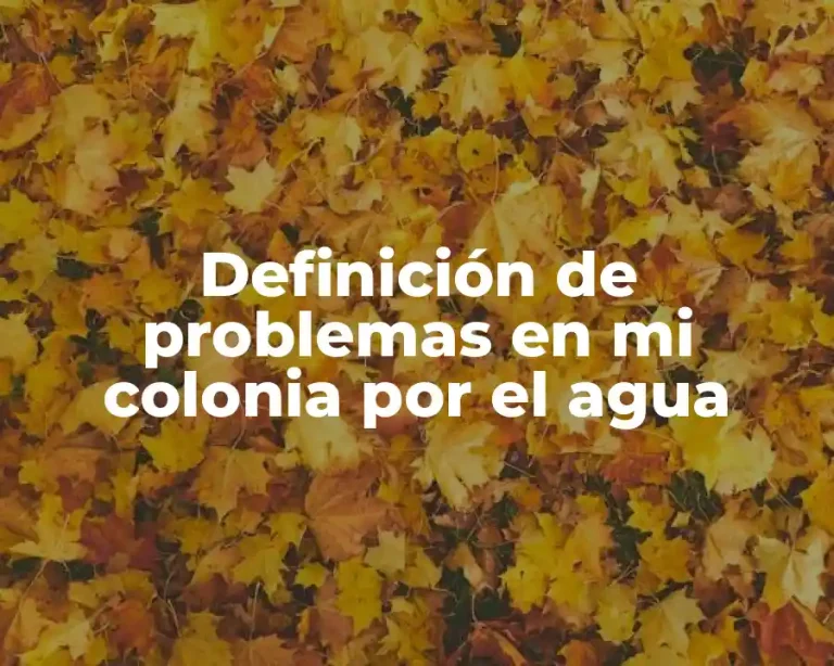 Definición de problemas en mi colonia por el agua