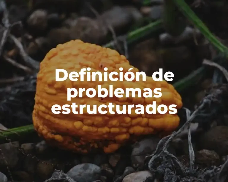 Definición de problemas estructurados