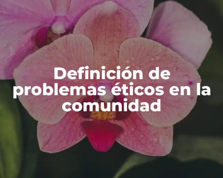 Definición de problemas éticos en la comunidad