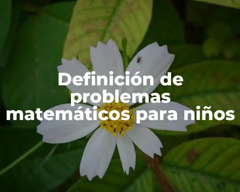 Definición de problemas matemáticos para niños