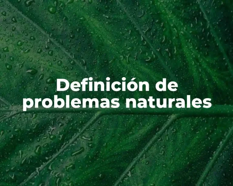 Definición de problemas naturales