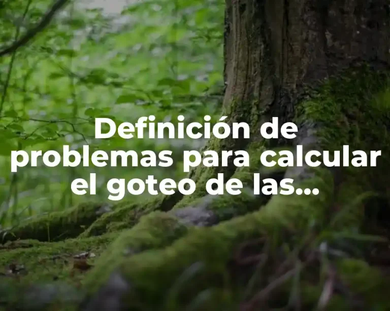 Definición de problemas para calcular el goteo de las soluciones