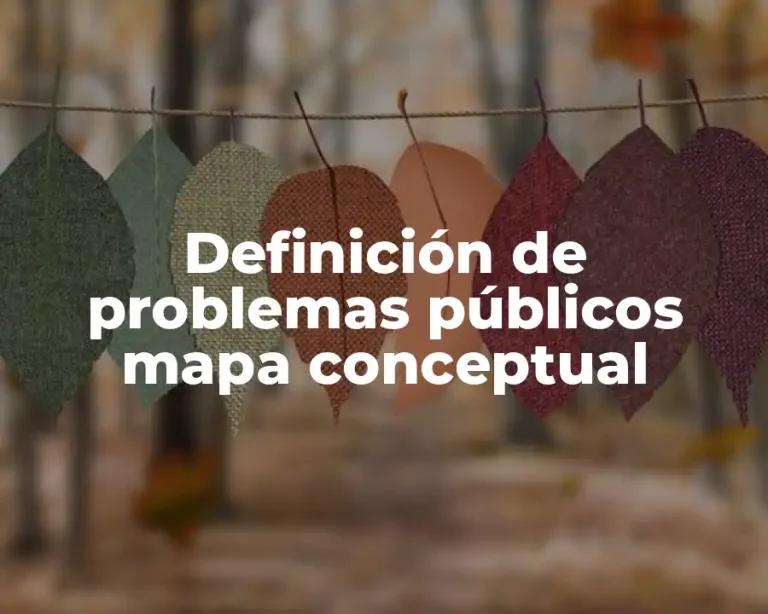 Definición de problemas públicos mapa conceptual