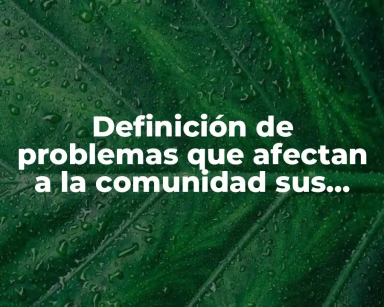 Definición de problemas que afectan a la comunidad sus causas