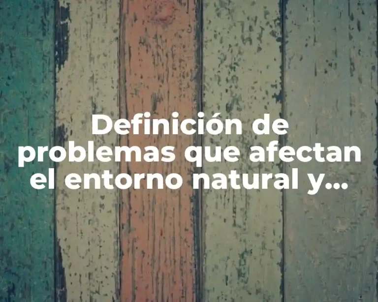 Definición de problemas que afectan el entorno natural y social