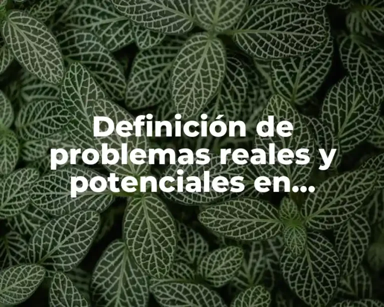Definición de problemas reales y potenciales en enfermería