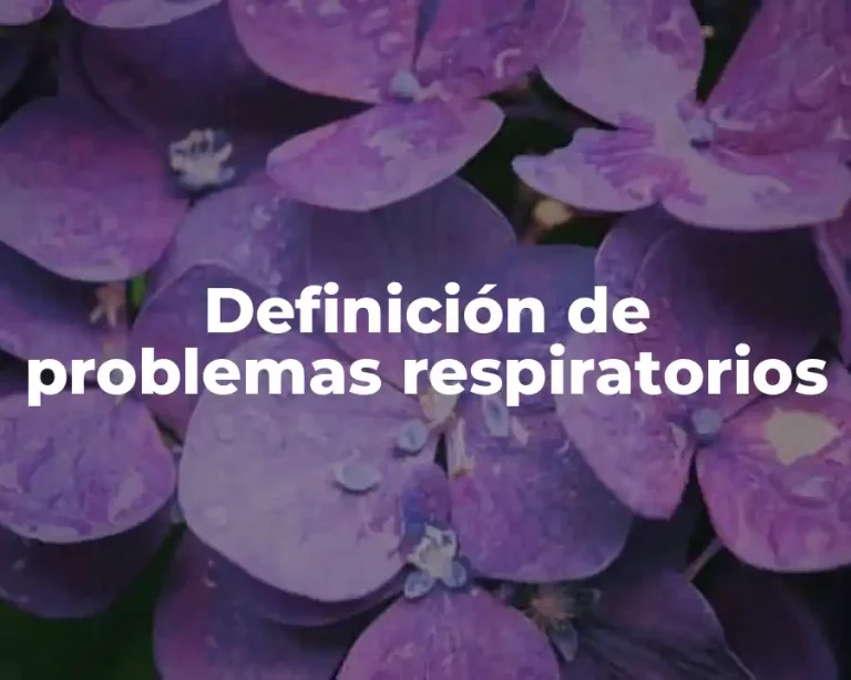Definición de problemas respiratorios