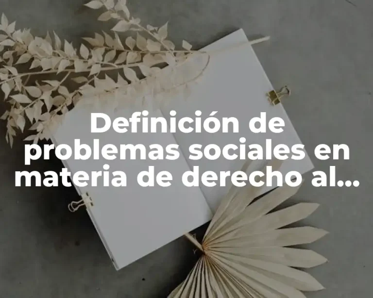 Definición de problemas sociales en materia de derecho al derecho