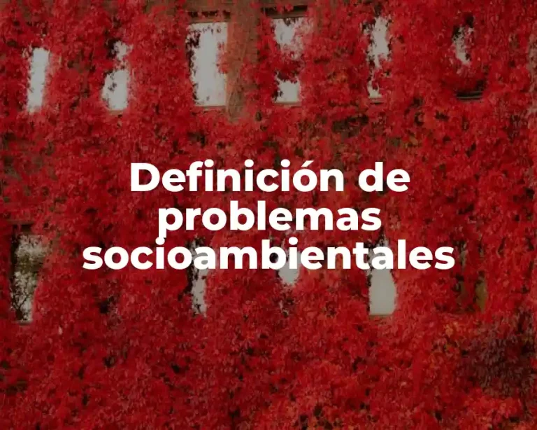 Definición de problemas socioambientales