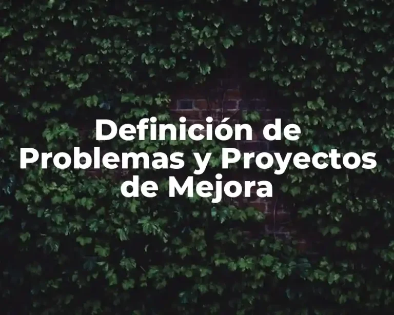 Definición de Problemas y Proyectos de Mejora