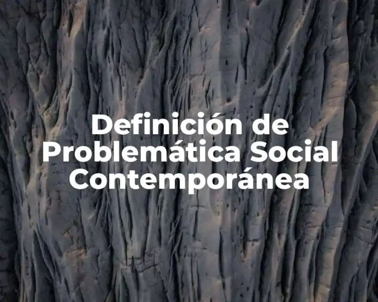 Definición de Problemática Social Contemporánea
