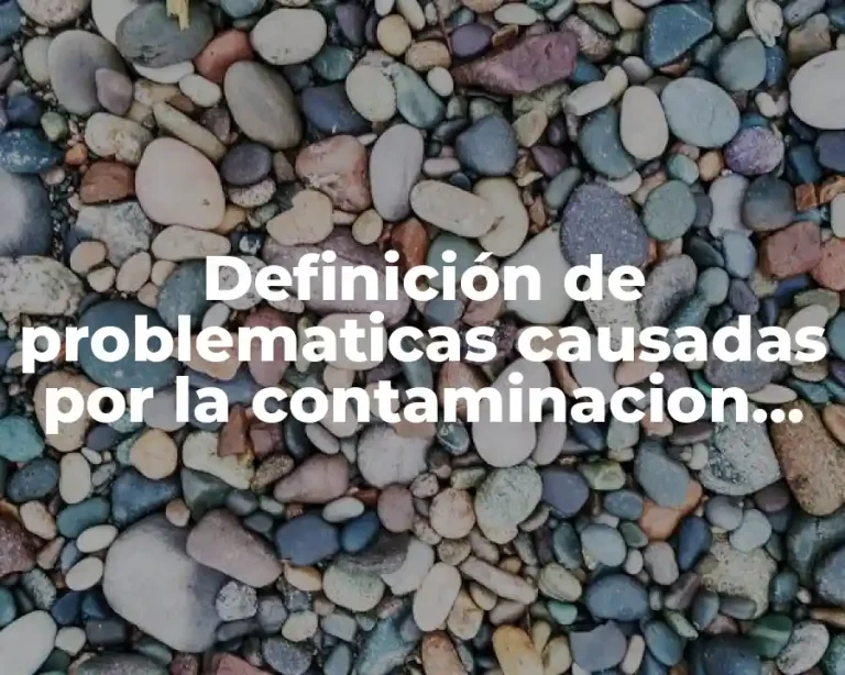 Definición de problematicas causadas por la contaminacion de los metales