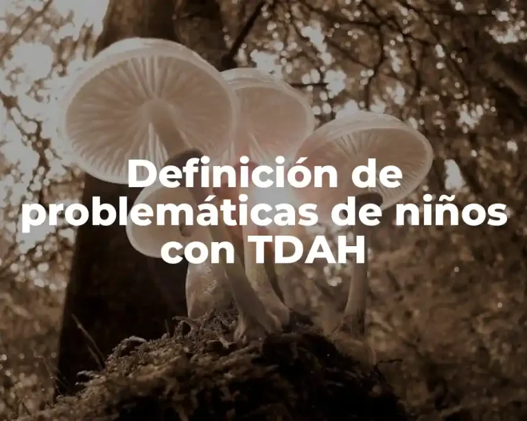 Definición de problemáticas de niños con TDAH