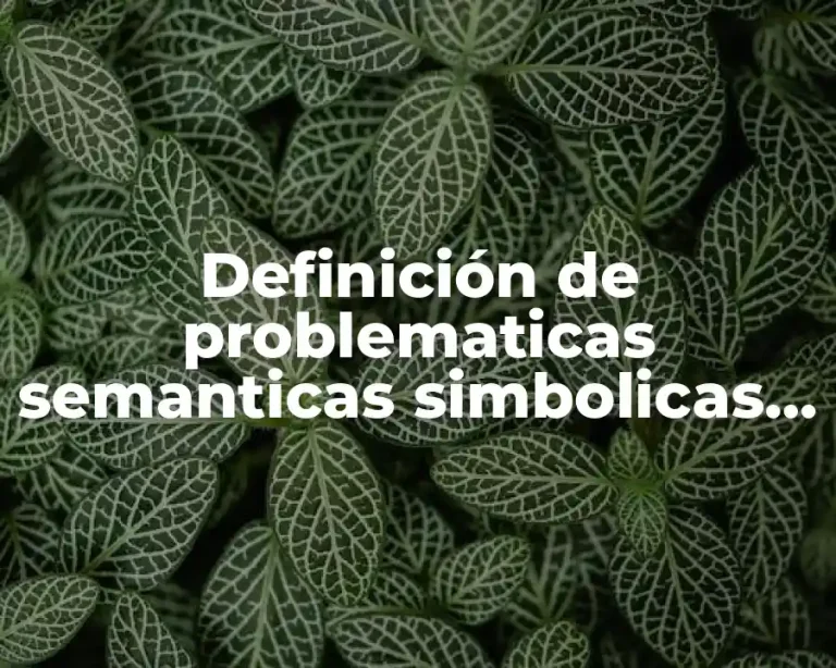 Definición de problematicas semanticas simbolicas y sociales