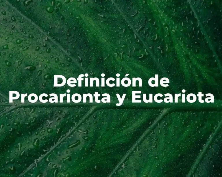 Definición de Procarionta y Eucariota
