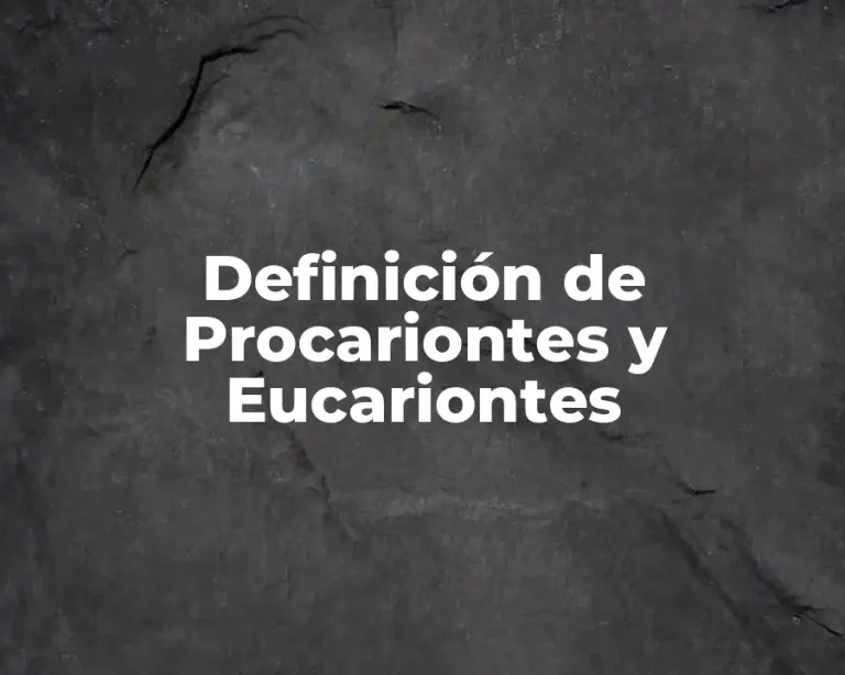 Definición de Procariontes y Eucariontes