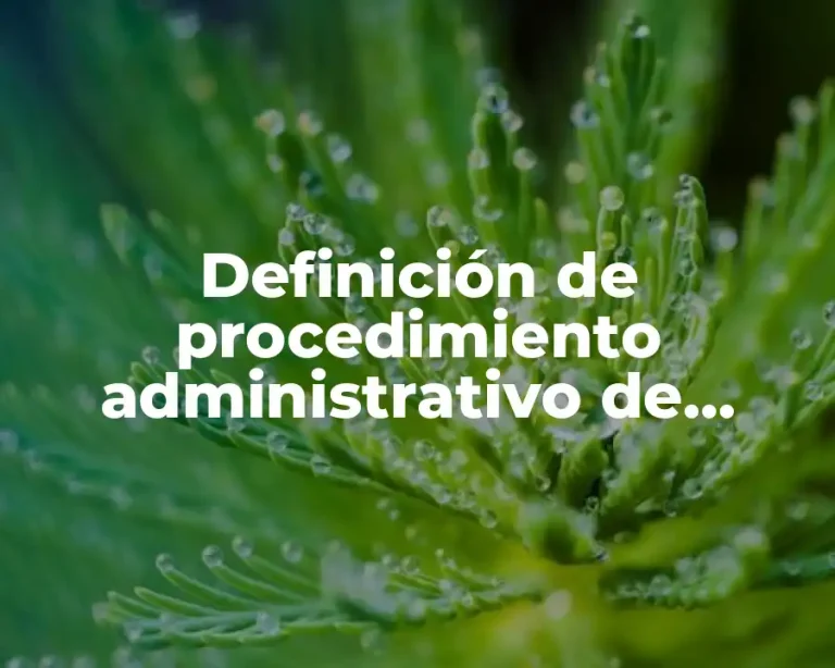 Definición de procedimiento administrativo de ejecución