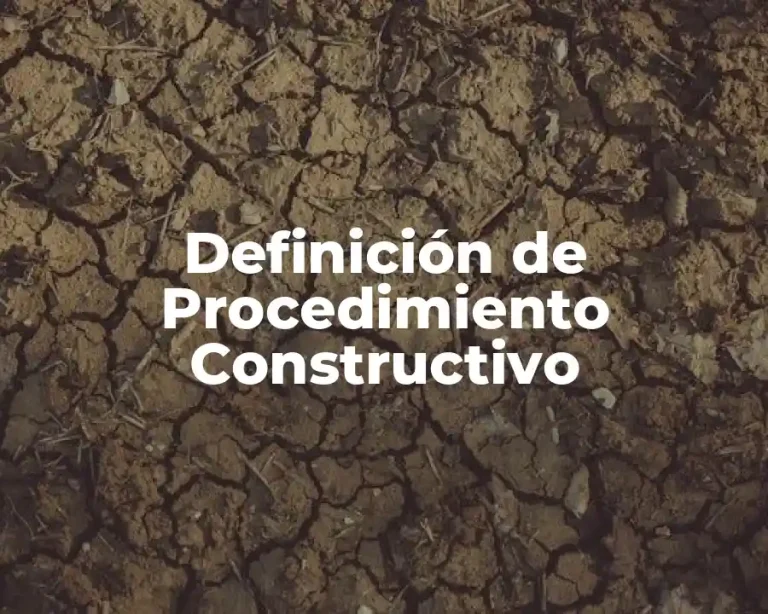 Definición de Procedimiento Constructivo