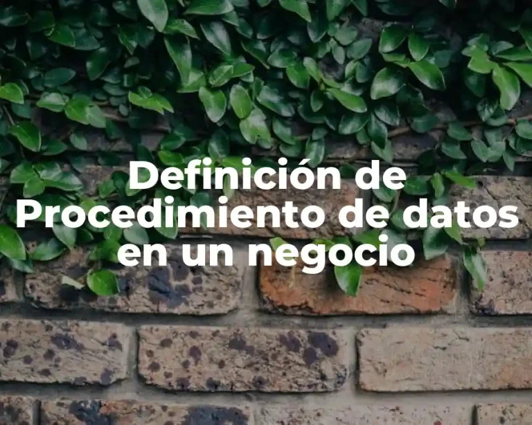 Definición de Procedimiento de datos en un negocio