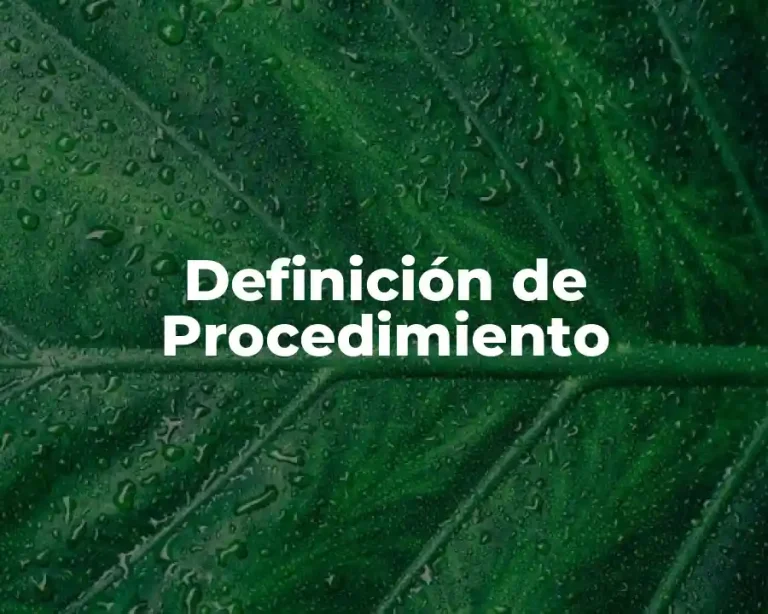 Definición de Procedimiento