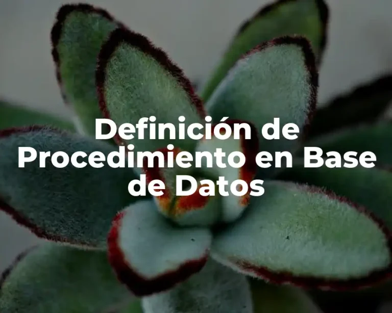 Definición de Procedimiento en Base de Datos