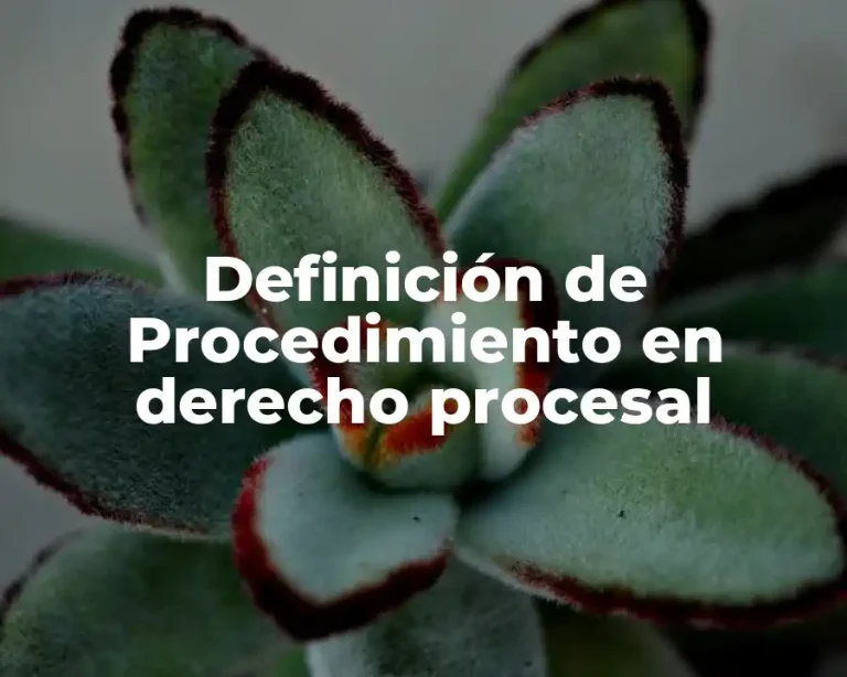 Definición de Procedimiento en derecho procesal