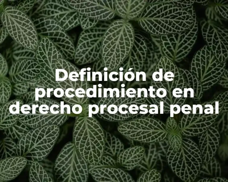 Definición de procedimiento en derecho procesal penal