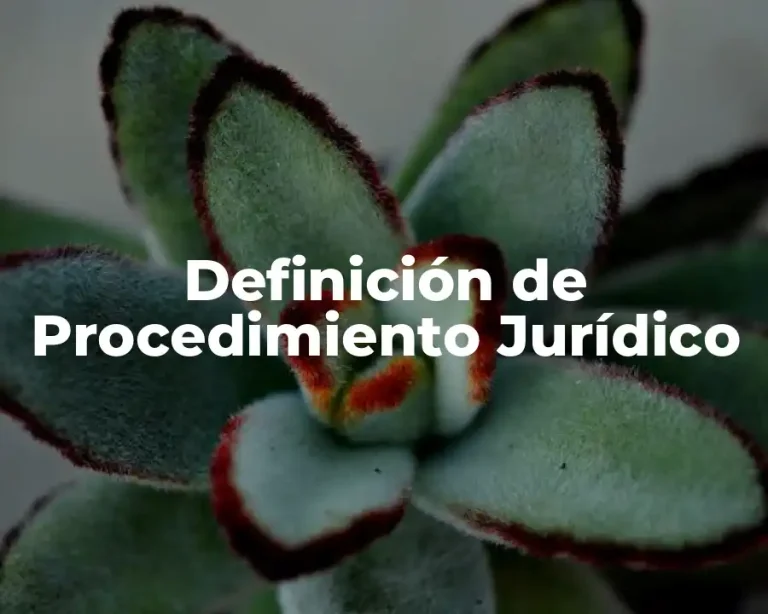 Definición de Procedimiento Jurídico