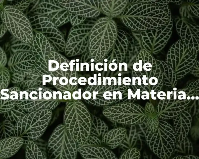 Definición de Procedimiento Sancionador en Materia de Fiscalización