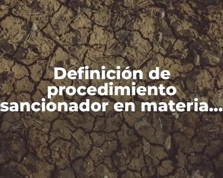 Definición de procedimiento sancionador en materia electoral