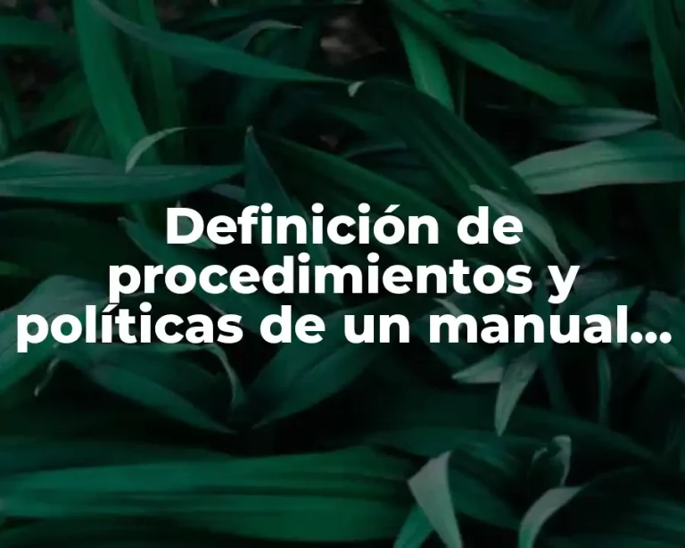 Definición de procedimientos y políticas de un manual de organización