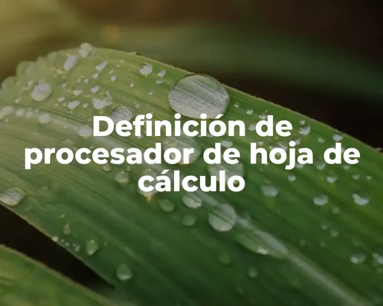 Definición de procesador de hoja de cálculo