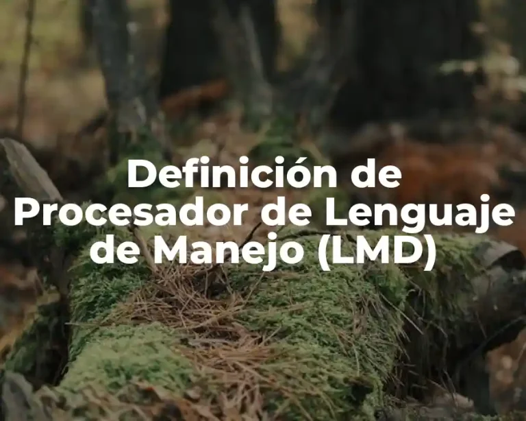 Definición de Procesador de Lenguaje de Manejo (LMD)