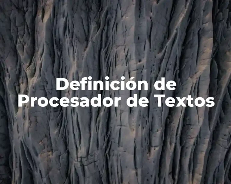 Definición de Procesador de Textos