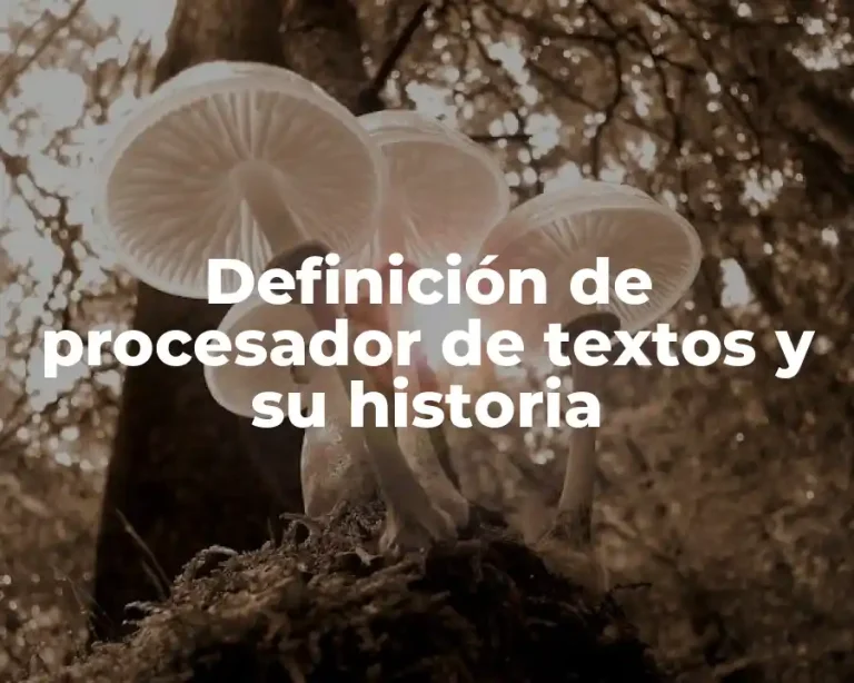 Definición de procesador de textos y su historia