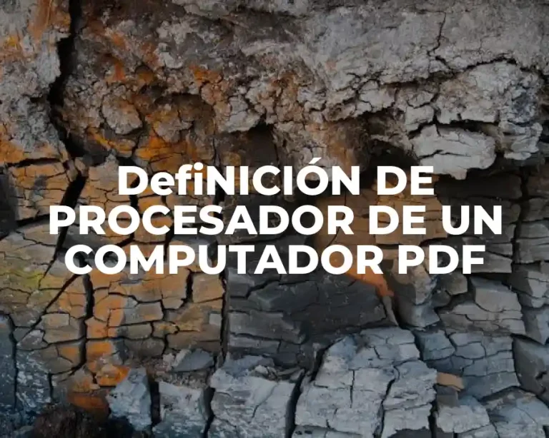 DefiNICIÓN DE PROCESADOR DE UN COMPUTADOR PDF