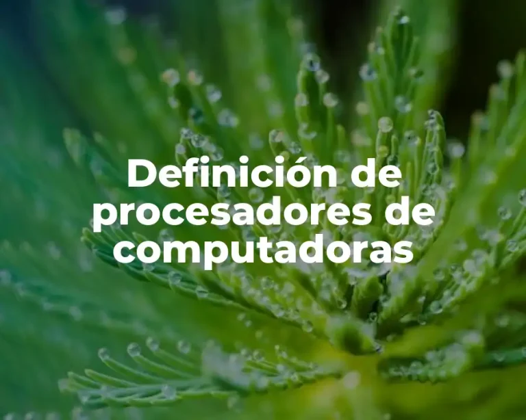 Definición de procesadores de computadoras